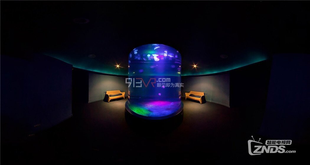 【ZNDS-VR游戏】《水族馆》随意观看海底周边的鱼和风景