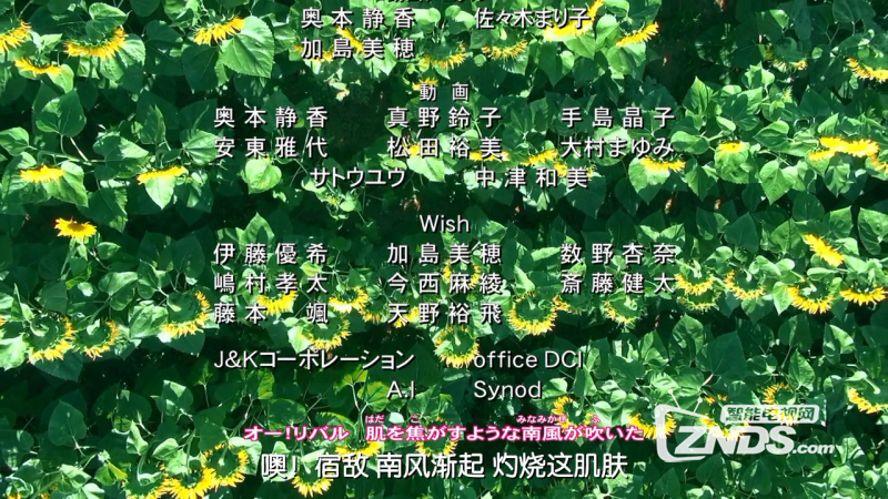 2015日本动画名侦探柯南业火的向日葵bd1080720p国语