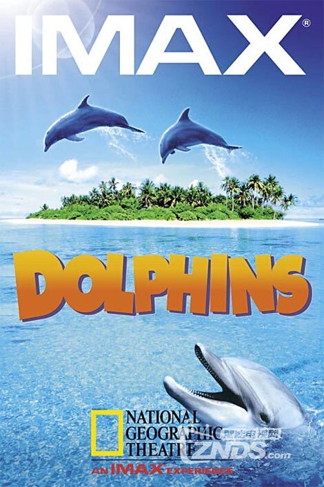 : IMAX: Dolphins : Pierce Brosnan, Alejandro Acevedo