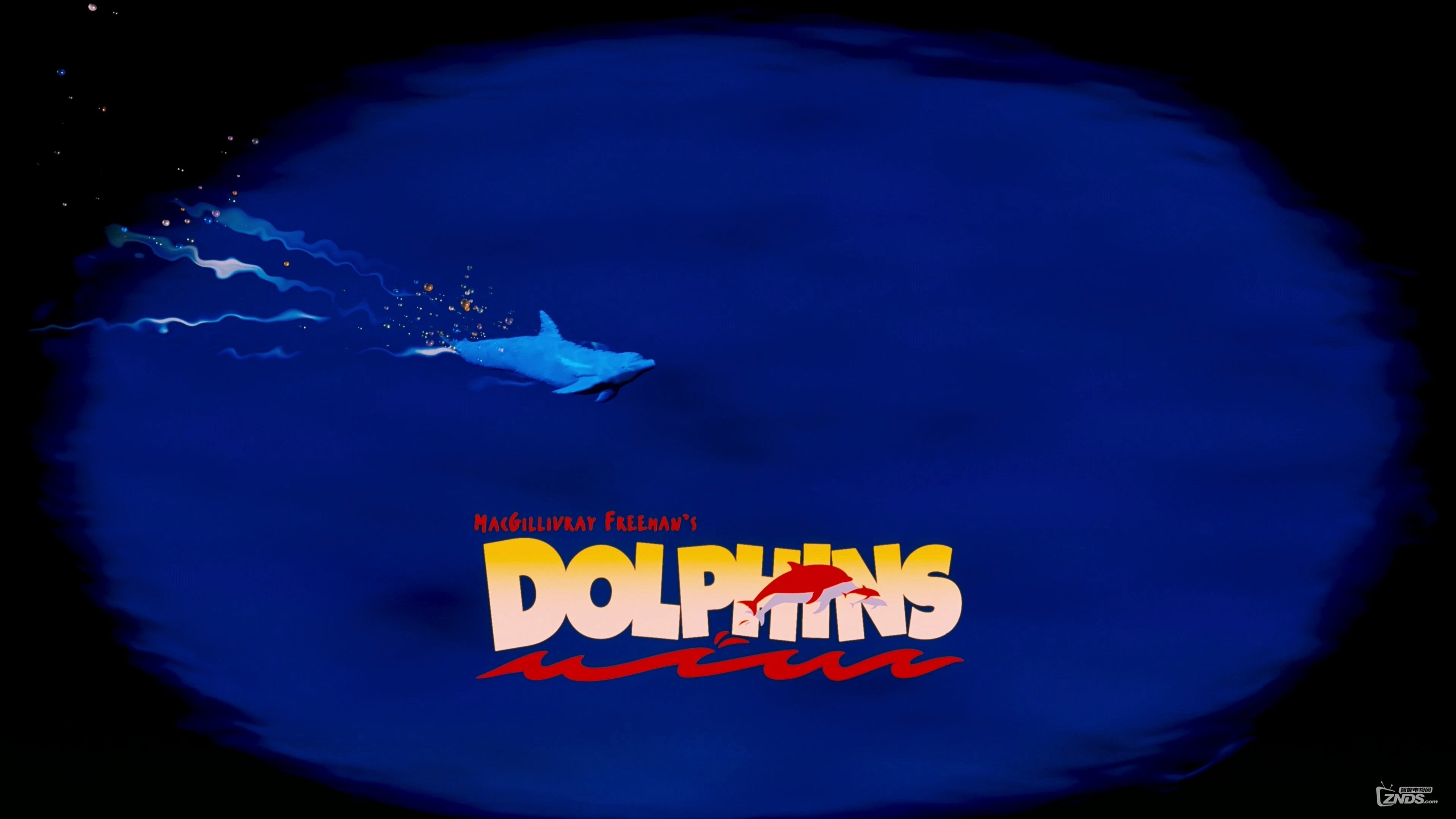 IMAX.Dolphins.2000.2160p.Amazon.WEBRip.DD2.0.x264-TrollUHD.mkv_20160505_153728.750.jpg