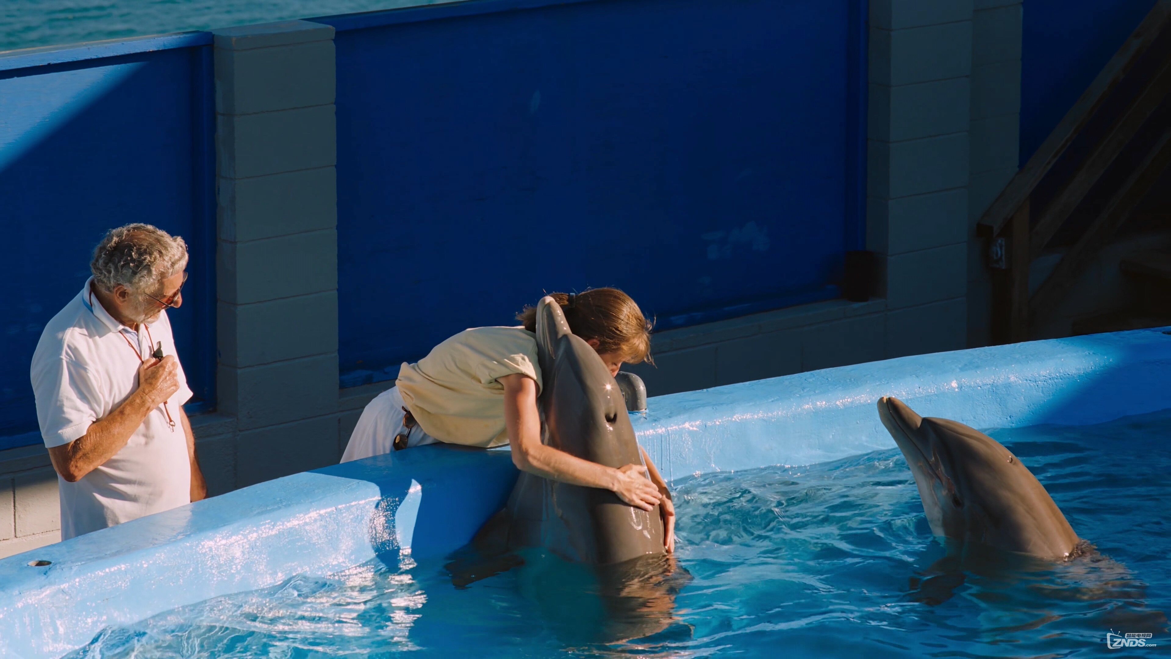 IMAX.Dolphins.2000.2160p.Amazon.WEBRip.DD2.0.x264-TrollUHD.mkv_20160505_154729.890.jpg