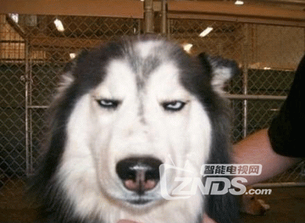 20140409233803_nn3r5.gif