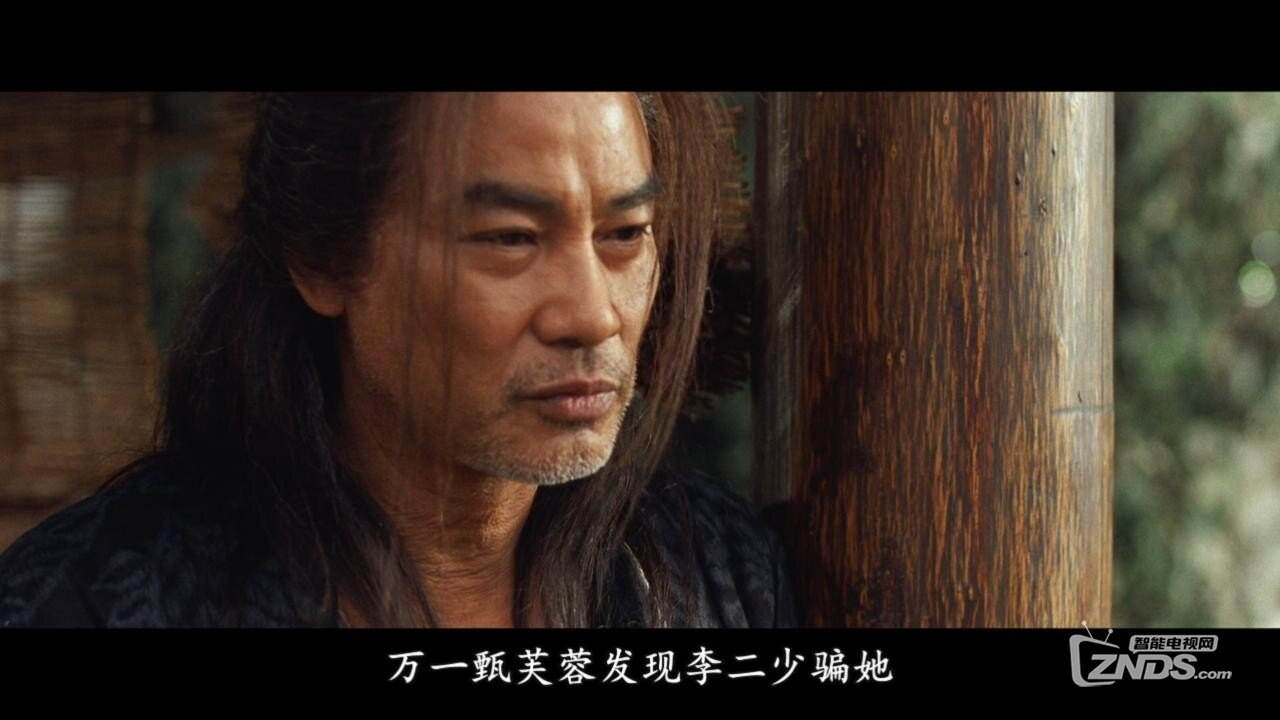 2013台湾爱情/动作片《花漾:盗伎传奇》bd720p国语中字 .