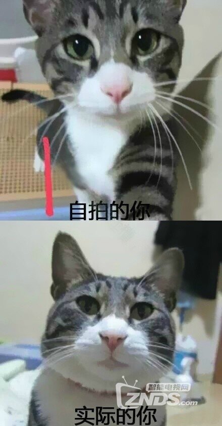 一组让你深刻理解现实的图片