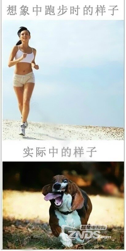 一组让你深刻理解现实的图片