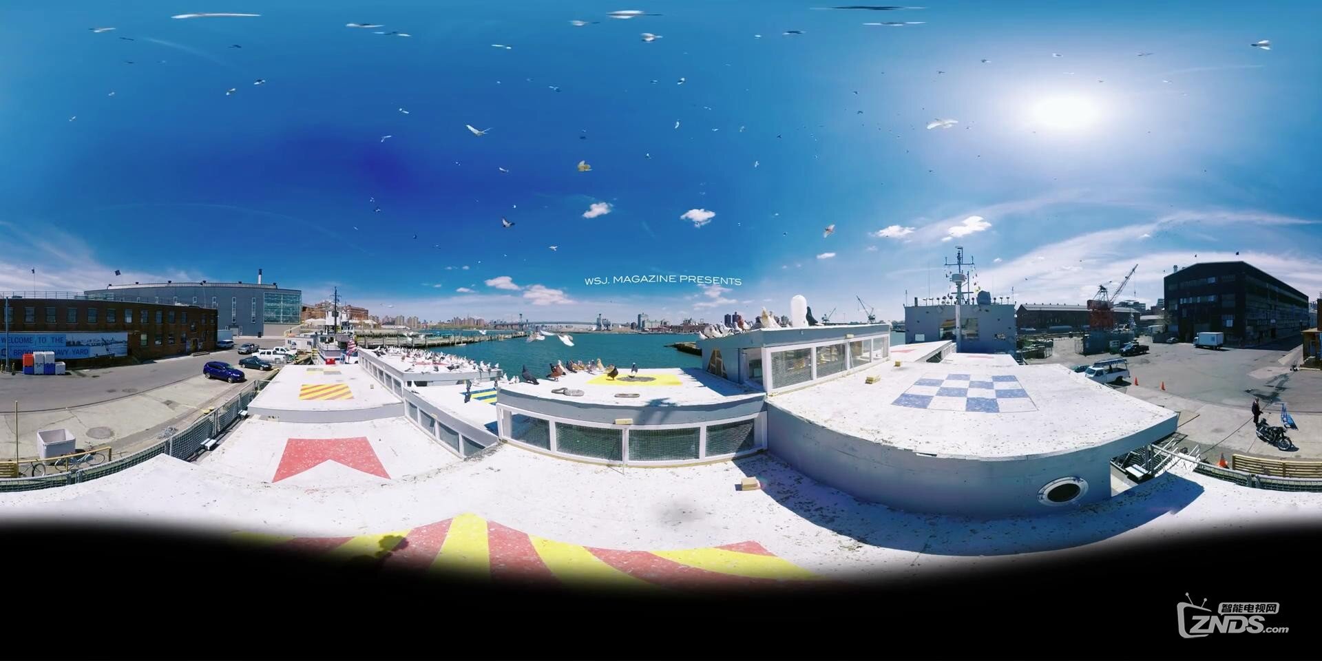 【360全景视频】千只和平鸽漫天纷飞，蔚为奇观