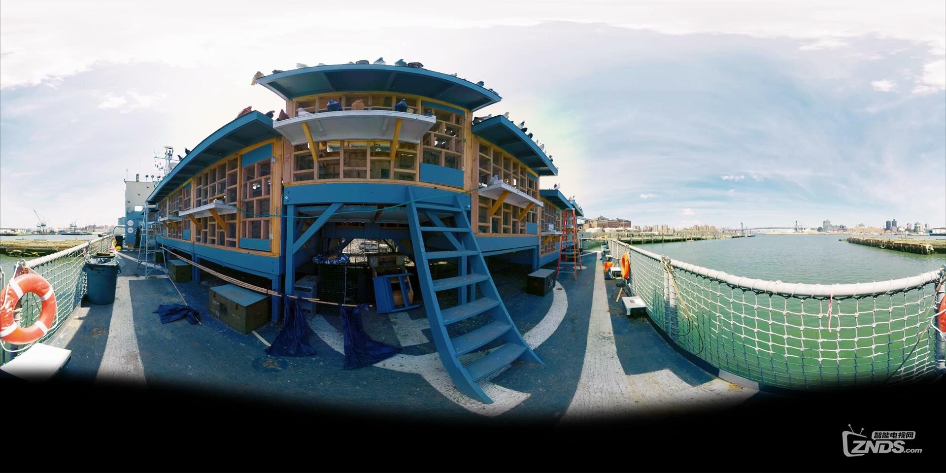 【360全景视频】千只和平鸽漫天纷飞，蔚为奇观
