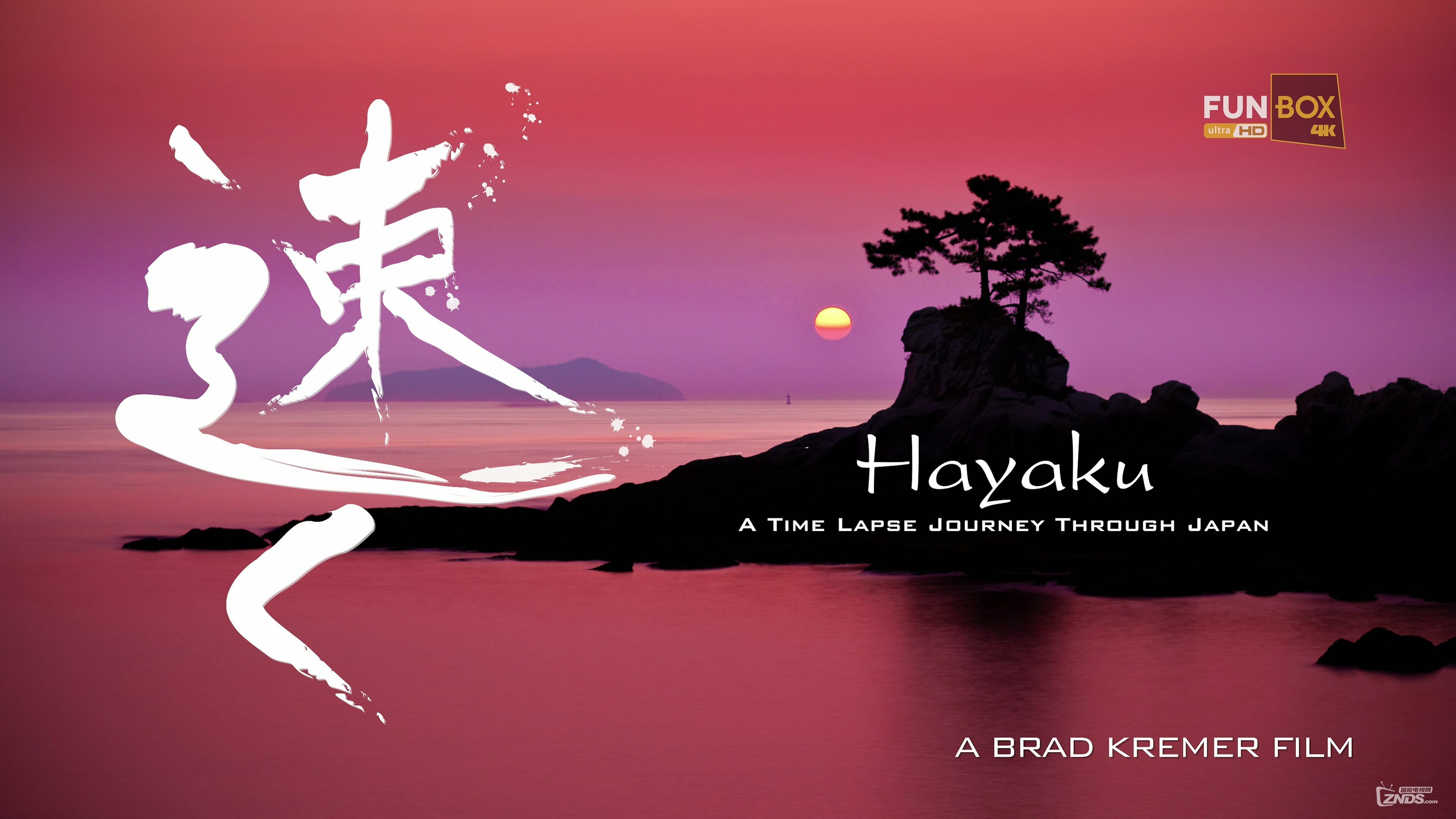 All right тото. Время, помещенное в трамвай сюрреализм. Автор путешествие во времени найди сурикатов. Journey through time. Время, помещенное в трамвай сюрреализм.