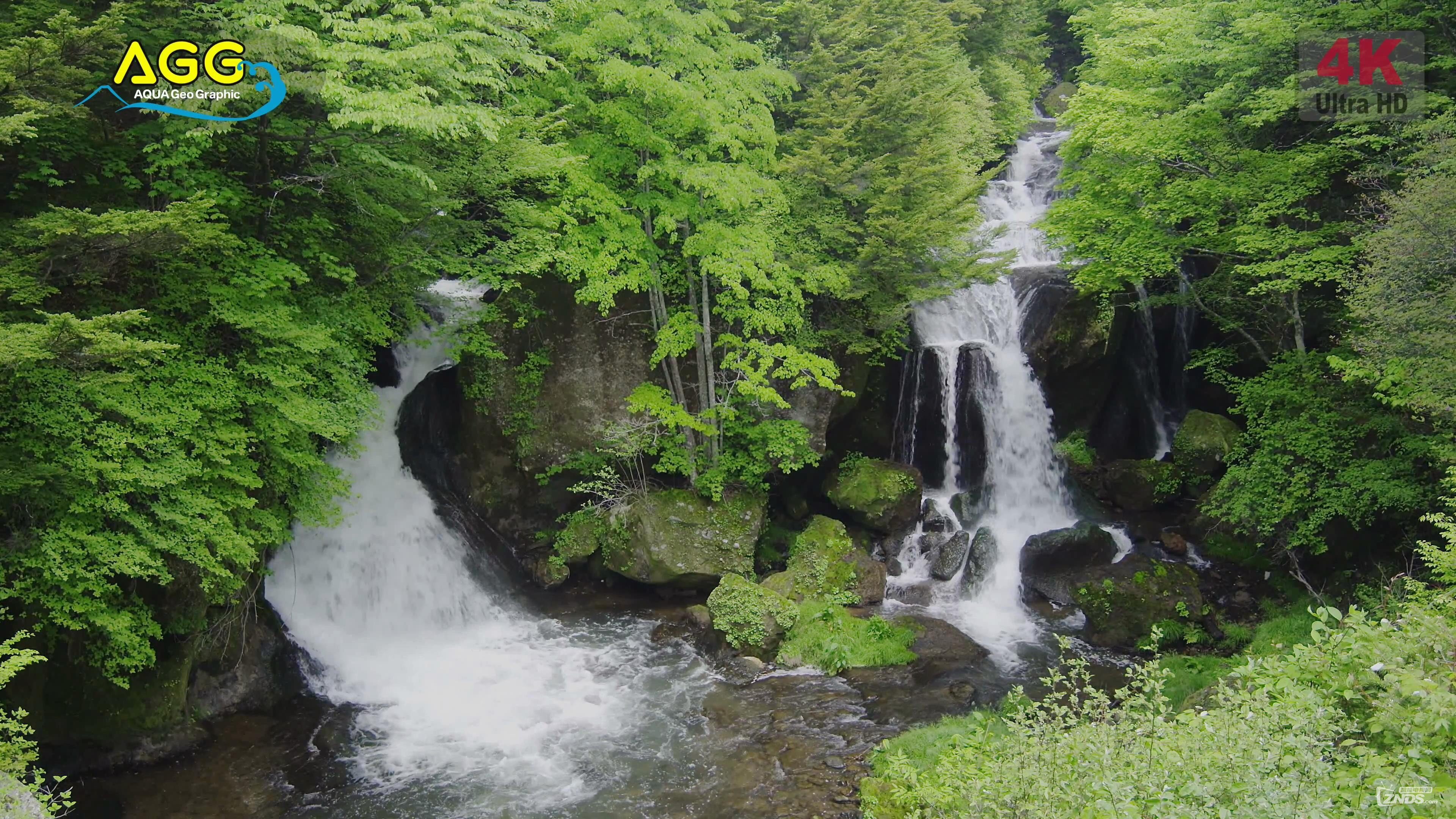 Анимированный водопад в лесу