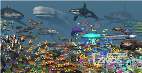【ZNDS-VR游戏】《海洋水族馆》一款海底世界类的休闲游戏