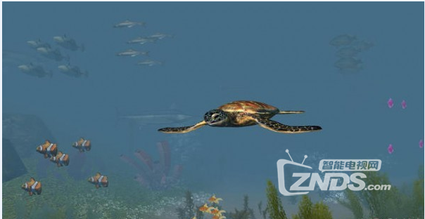 【ZNDS-VR游戏】《海洋水族馆》一款海底世界类的休闲游戏