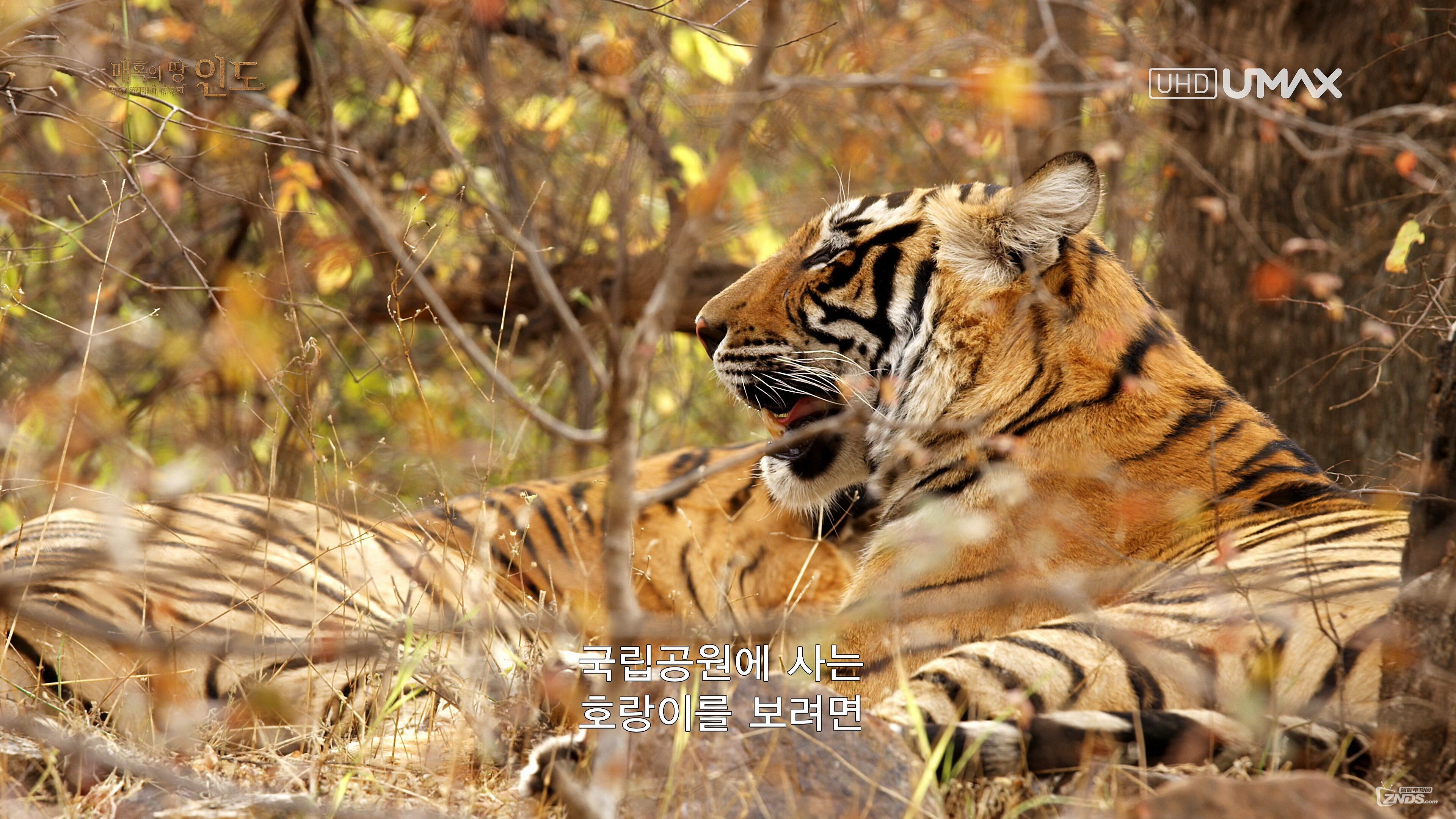 umax4k高清纪录片魅力之地印度2014hevc60fps10bi