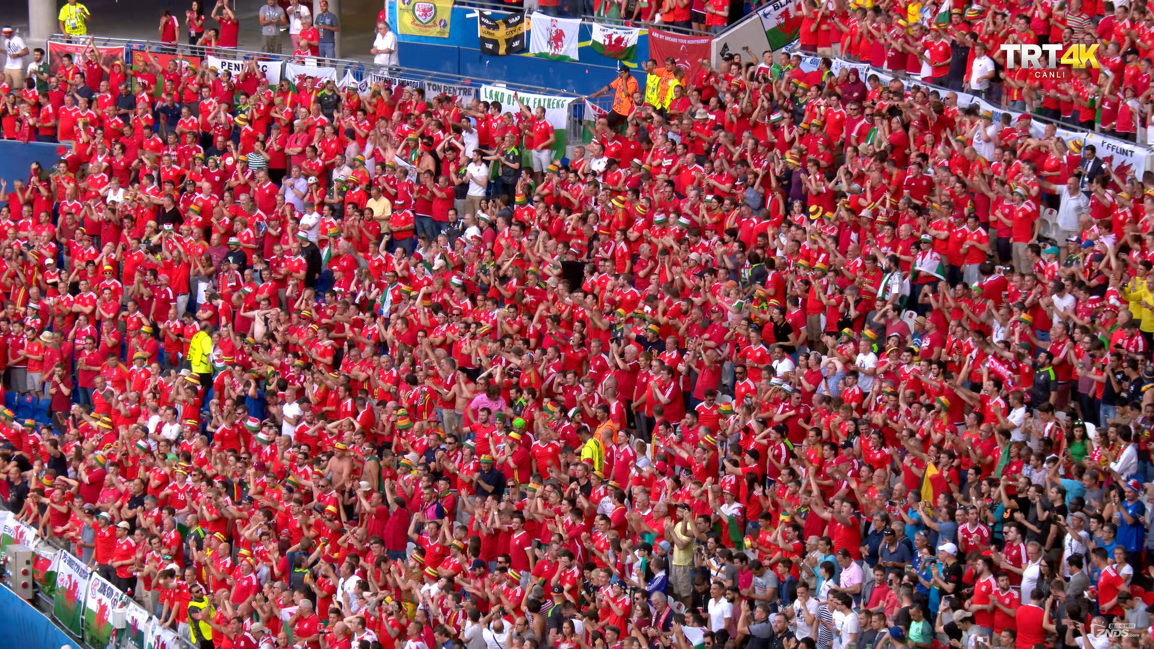 Portugal-Wales.2160p.06.07.2016-Nikolay_-_-.mkv_20160708_053949.310.jpg