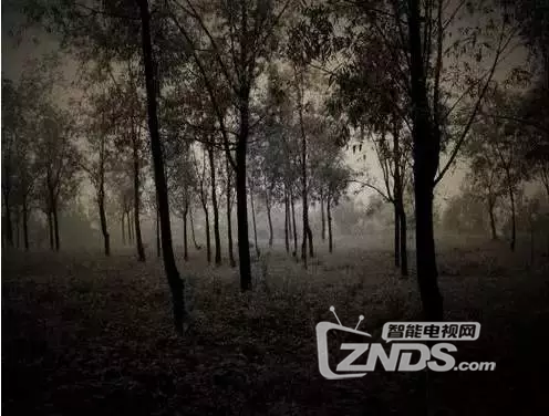 《怒江之战》孙艺洲初尝铁骨硬汉，中国队长由男变女？
