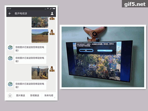 135244e90m9ld03hqpoq3x.gif