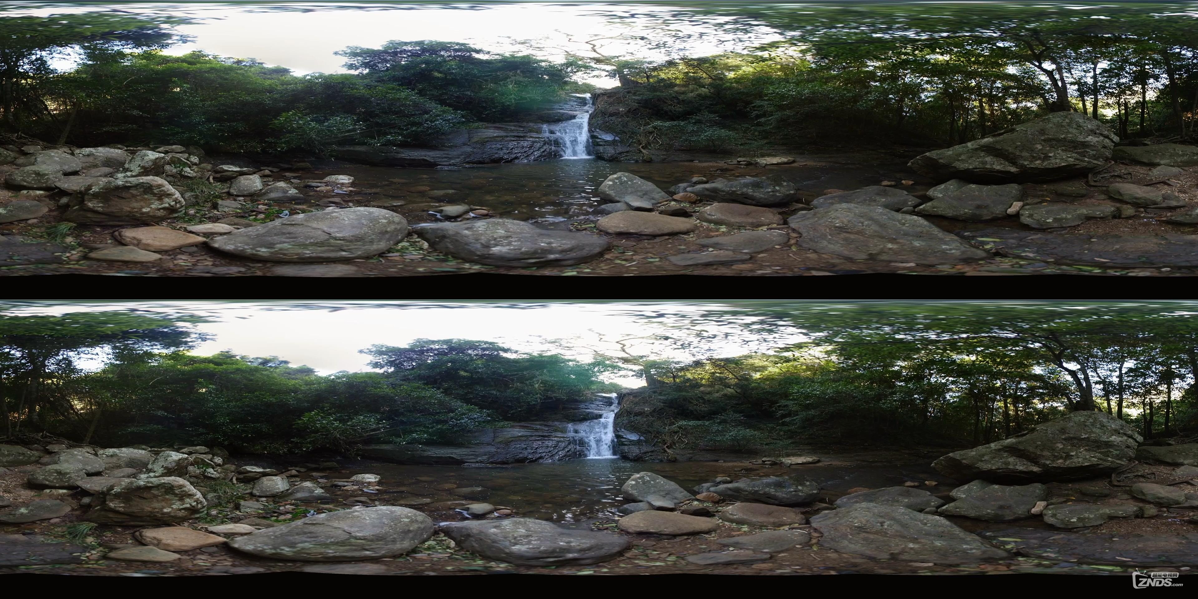 Back to Nature 2 - Rainforest (Stereoscopic 360° VR Video).mp4_2016712224510.JPG