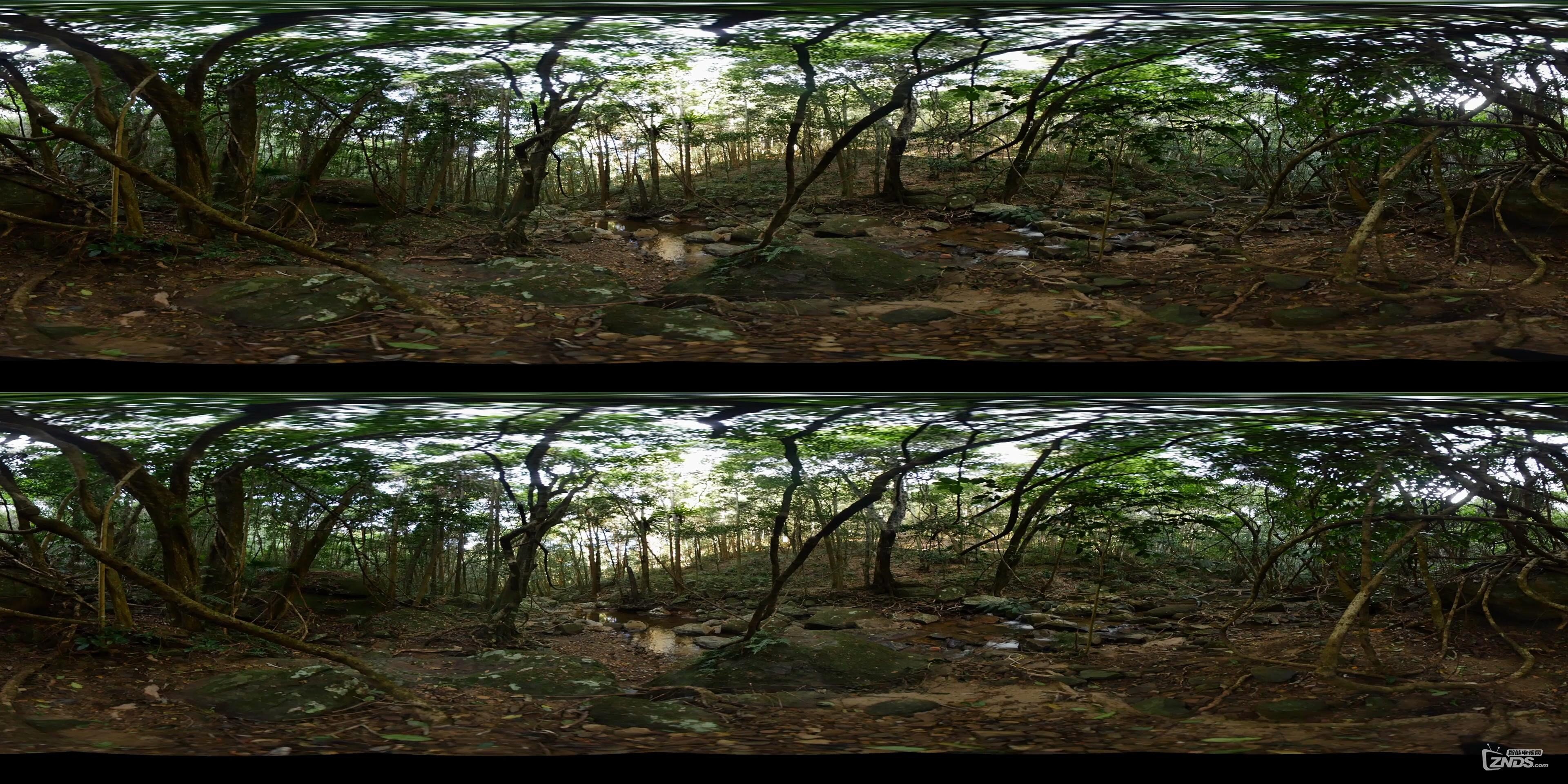 Back to Nature 2 - Rainforest (Stereoscopic 360° VR Video).mp4_2016712224516.JPG