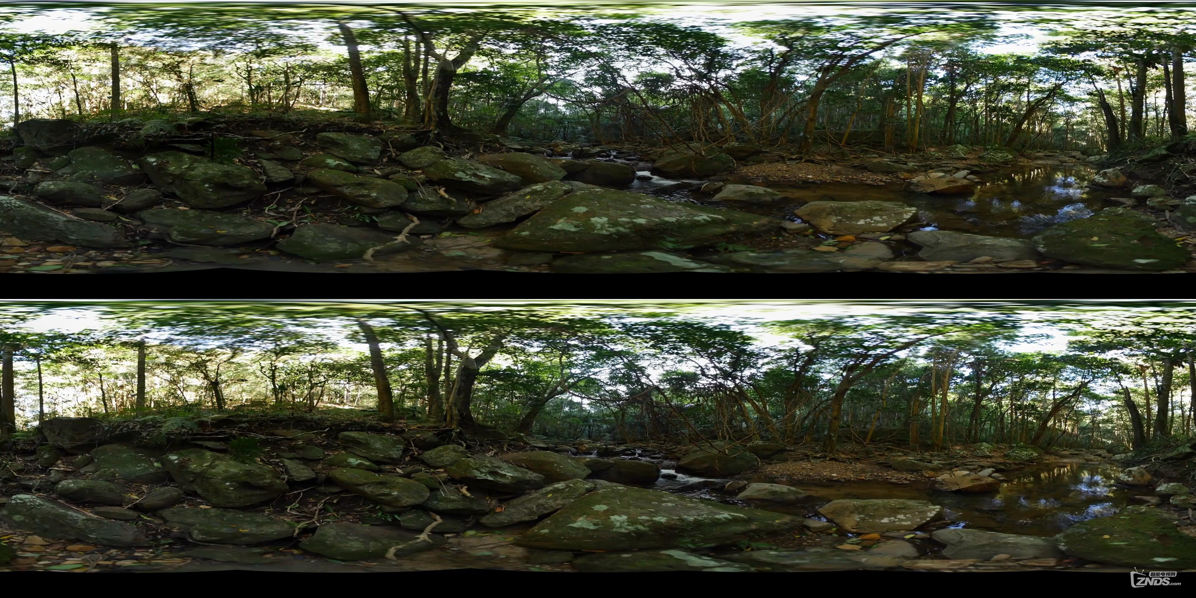 Back to Nature 2 - Rainforest (Stereoscopic 360° VR Video).mp4_2016712224524.JPG