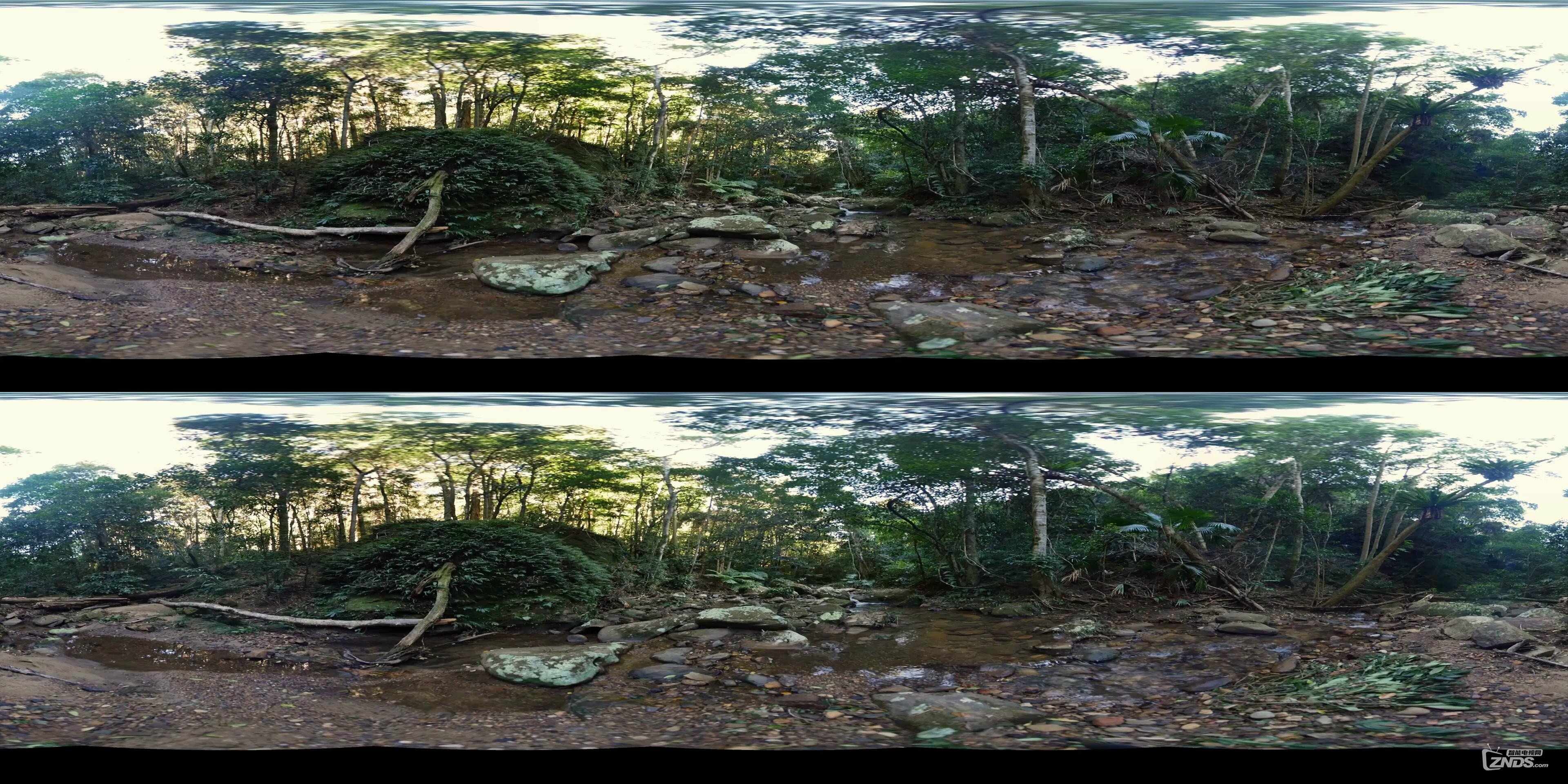 Back to Nature 2 - Rainforest (Stereoscopic 360° VR Video).mp4_2016712224528.JPG