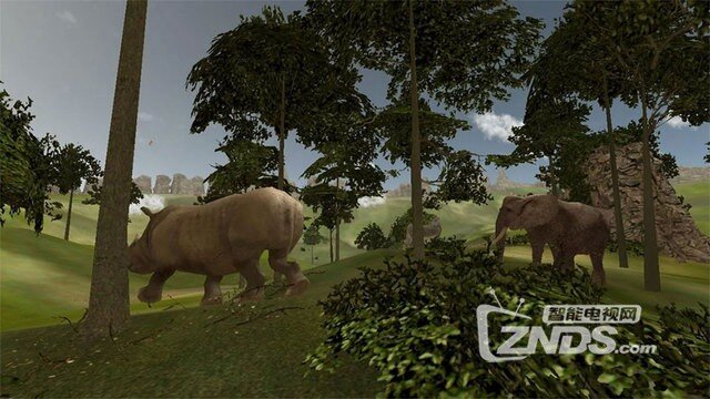 【ZNDS-VR游戏】《森林动物园》给想看野生动物的朋友们