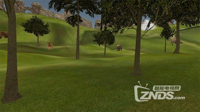 【ZNDS-VR游戏】《森林动物园》给想看野生动物的朋友们