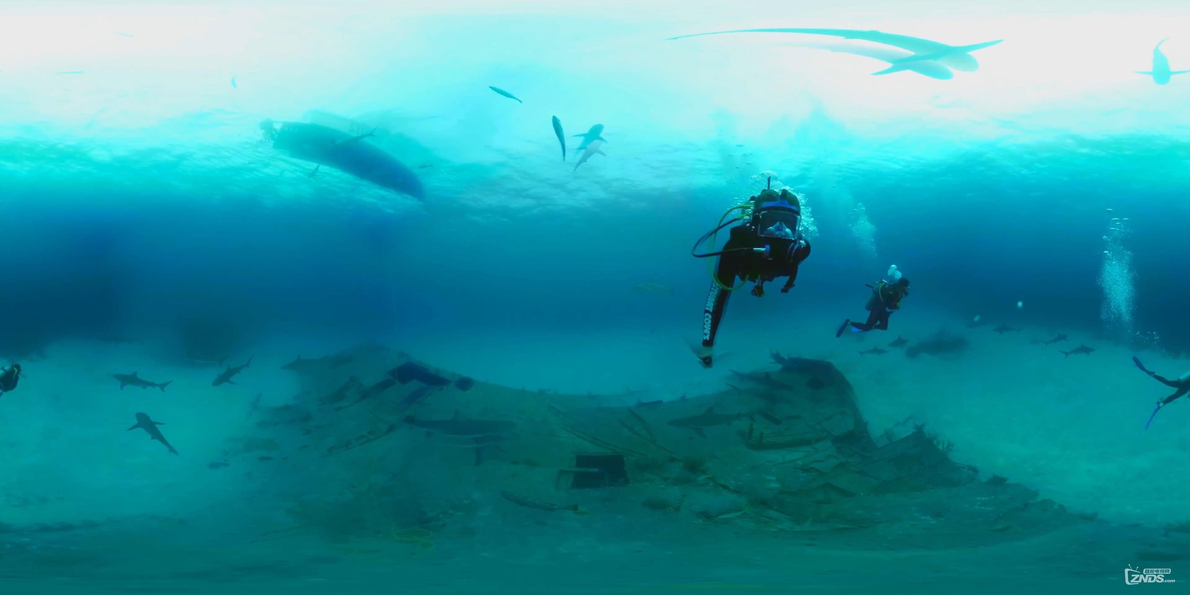 MythBusters_ Shark Shipwreck (360 Video)_(1)_20160723190841.JPG