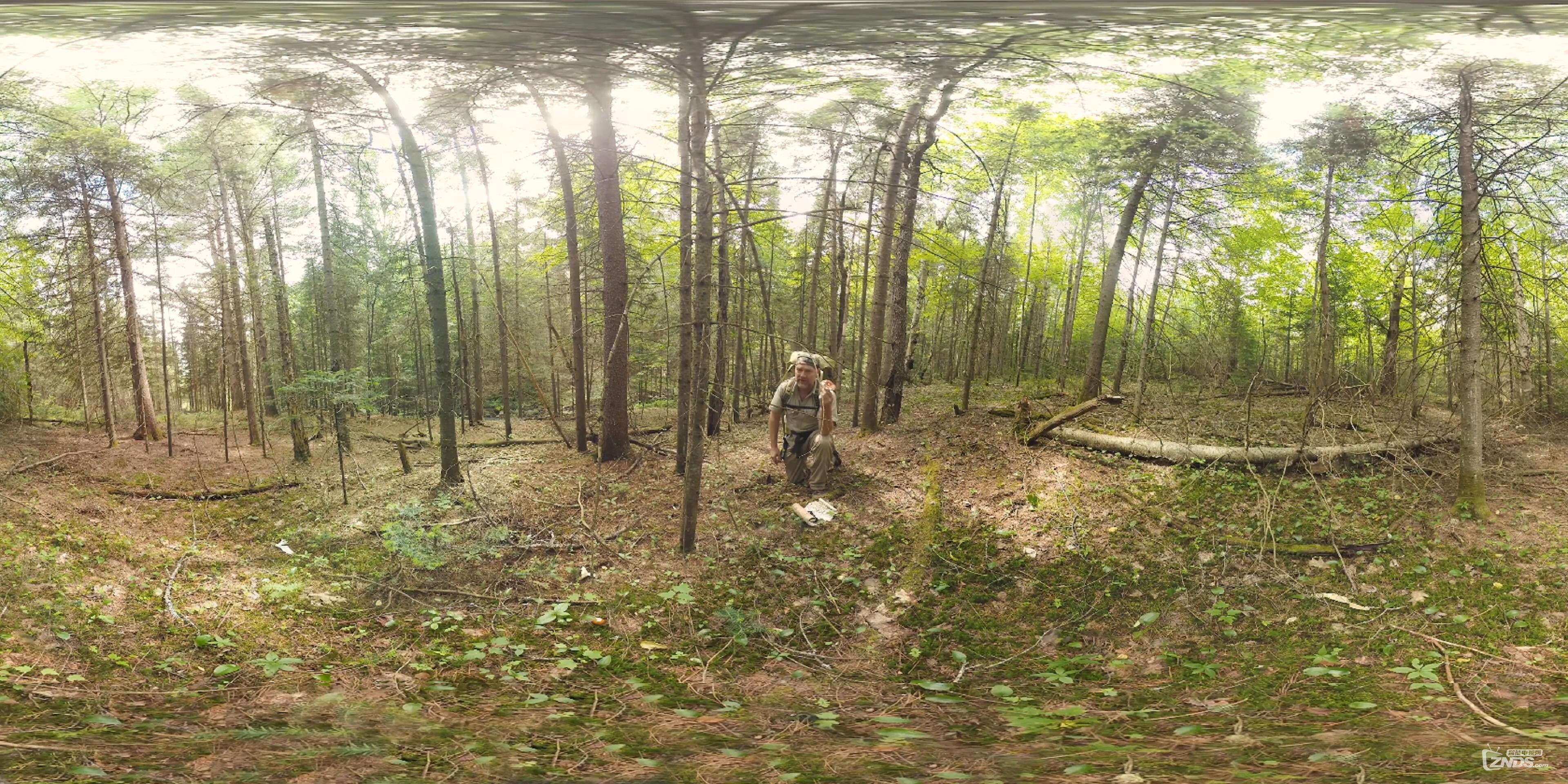 Foraging for Food _ Survivorman (360 video)_(1)_20160725224016.JPG