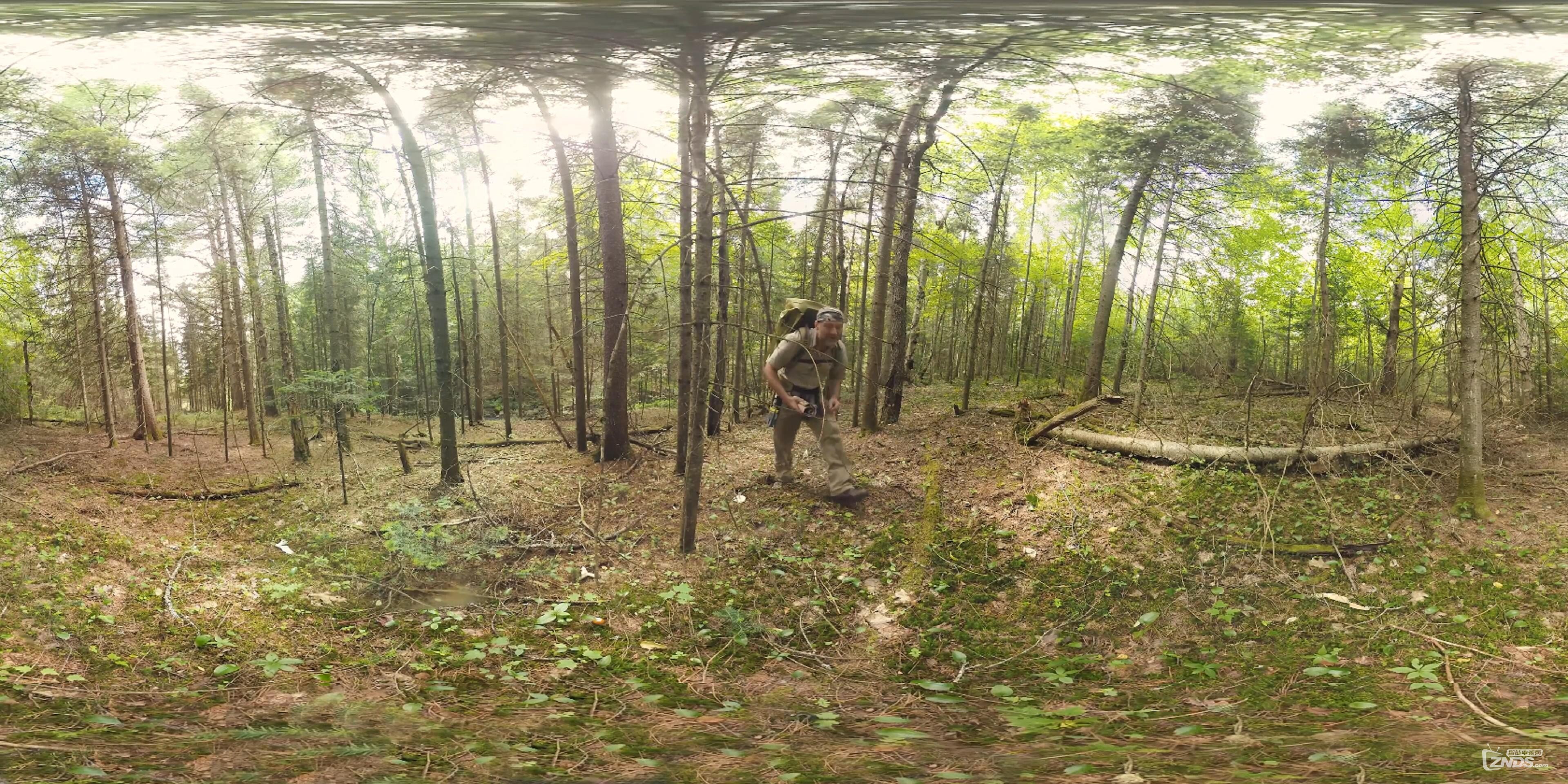 Foraging for Food _ Survivorman (360 video)_(1)_20160725224027.JPG