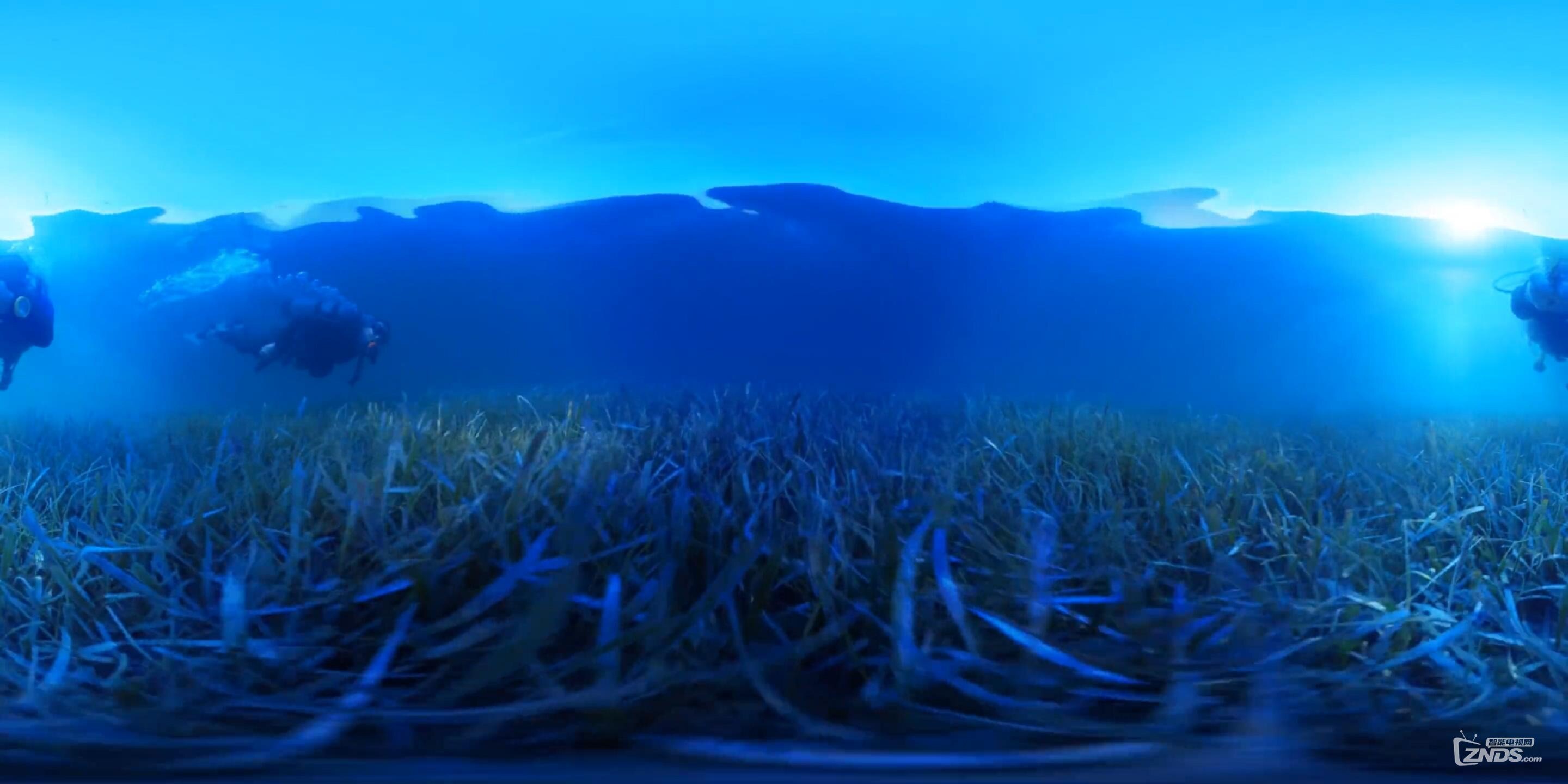 全景深潛視頻——潛水圣地伯利茲_超清_20160727125814.JPG