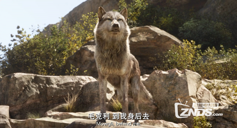 b921ad7bcb5c6093s.png