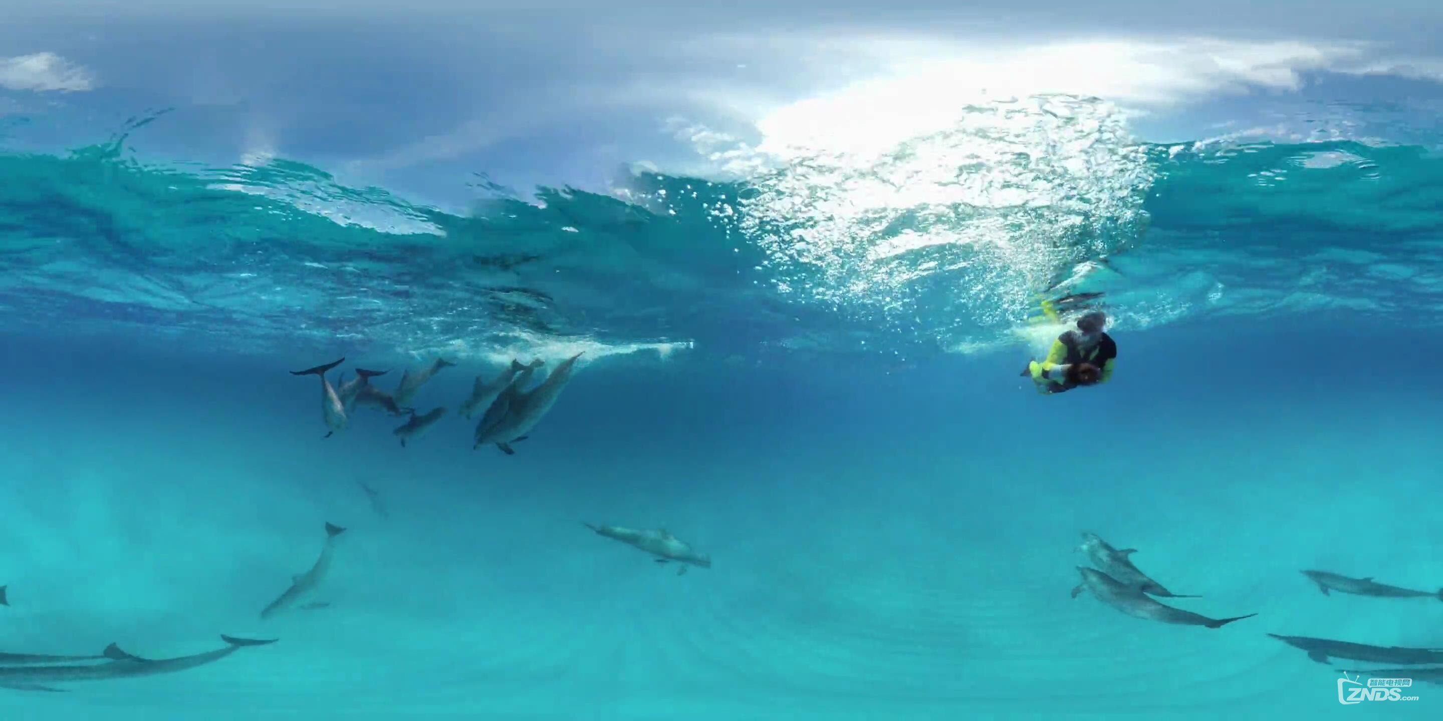 gopro拍摄瑰丽的海洋世界 与海豚共泳_超清_20160811214513.jpg