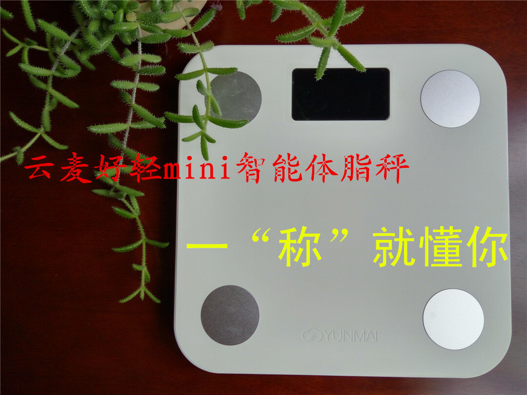标题图.jpg