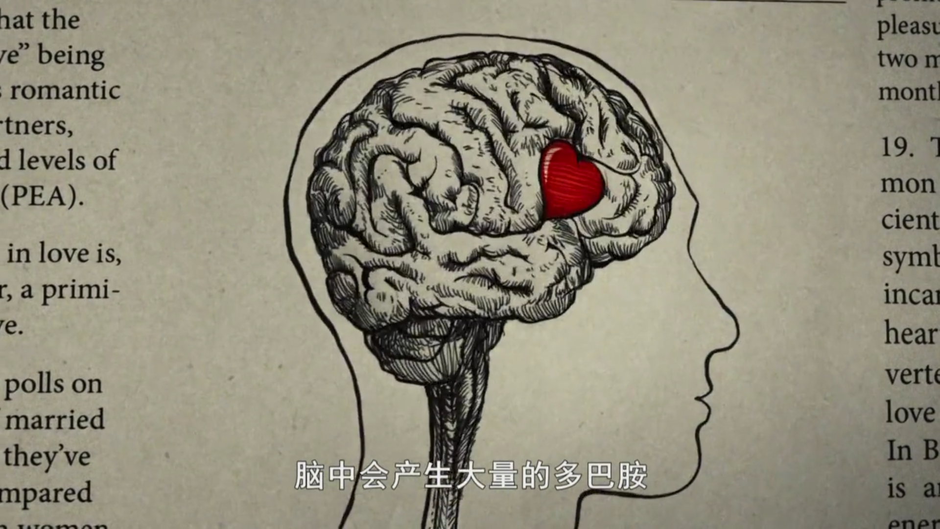 【PPTV聚精彩连载期刊 第18期】《爱情碎片》免费首播
