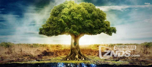 树是怎么长大的视频 210113ypceepeb7ebpbe5j.png