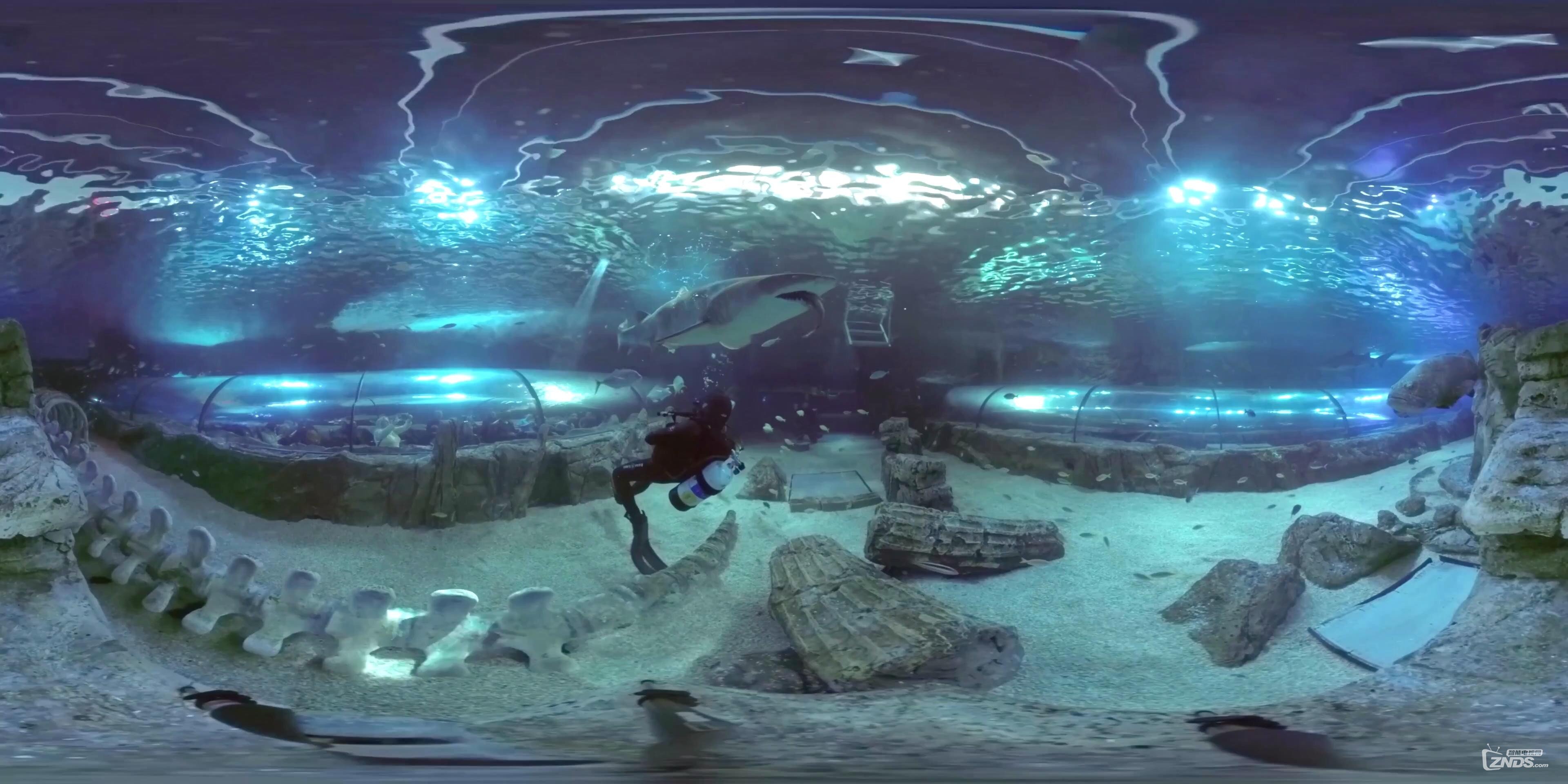 SEA LIFE Sydney Aquarium - Shark Tank 360 VR Underwater Video_201698211837.JPG