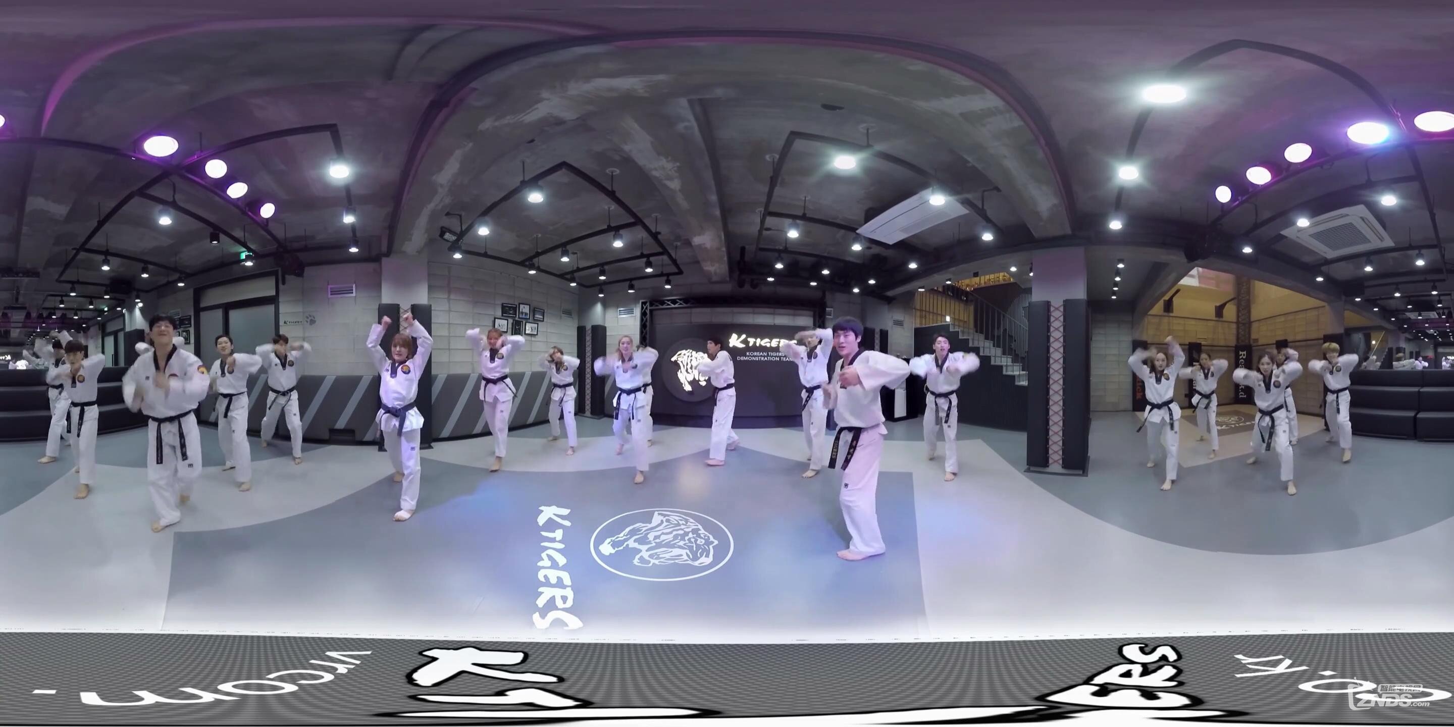 【360度VR全景视频】韩国虎队跆拳道舞