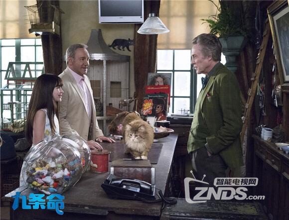 一个冷漠，任性，傲娇的霸道总裁遇上蠢萌喵星人！