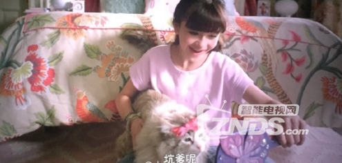 一个冷漠，任性，傲娇的霸道总裁遇上蠢萌喵星人！