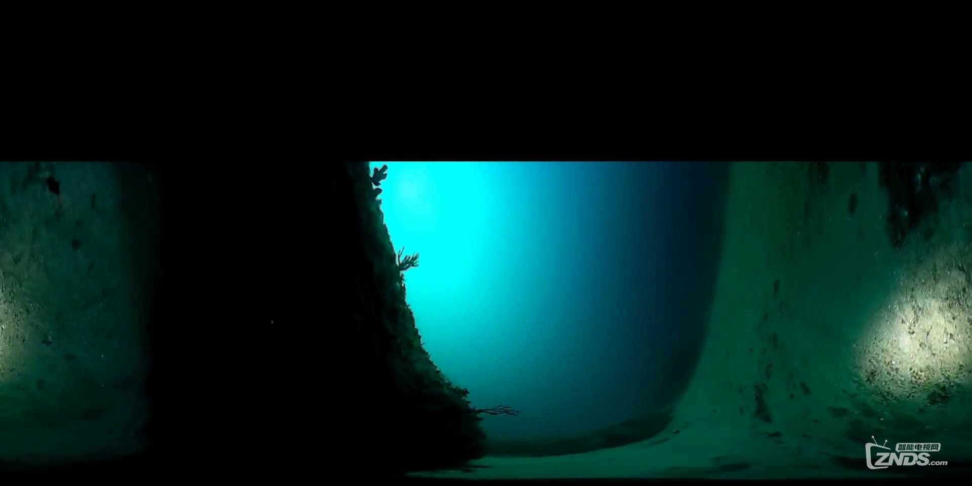 739-360 VR - Octopus Den at Mary's Reef_20160913233204.JPG