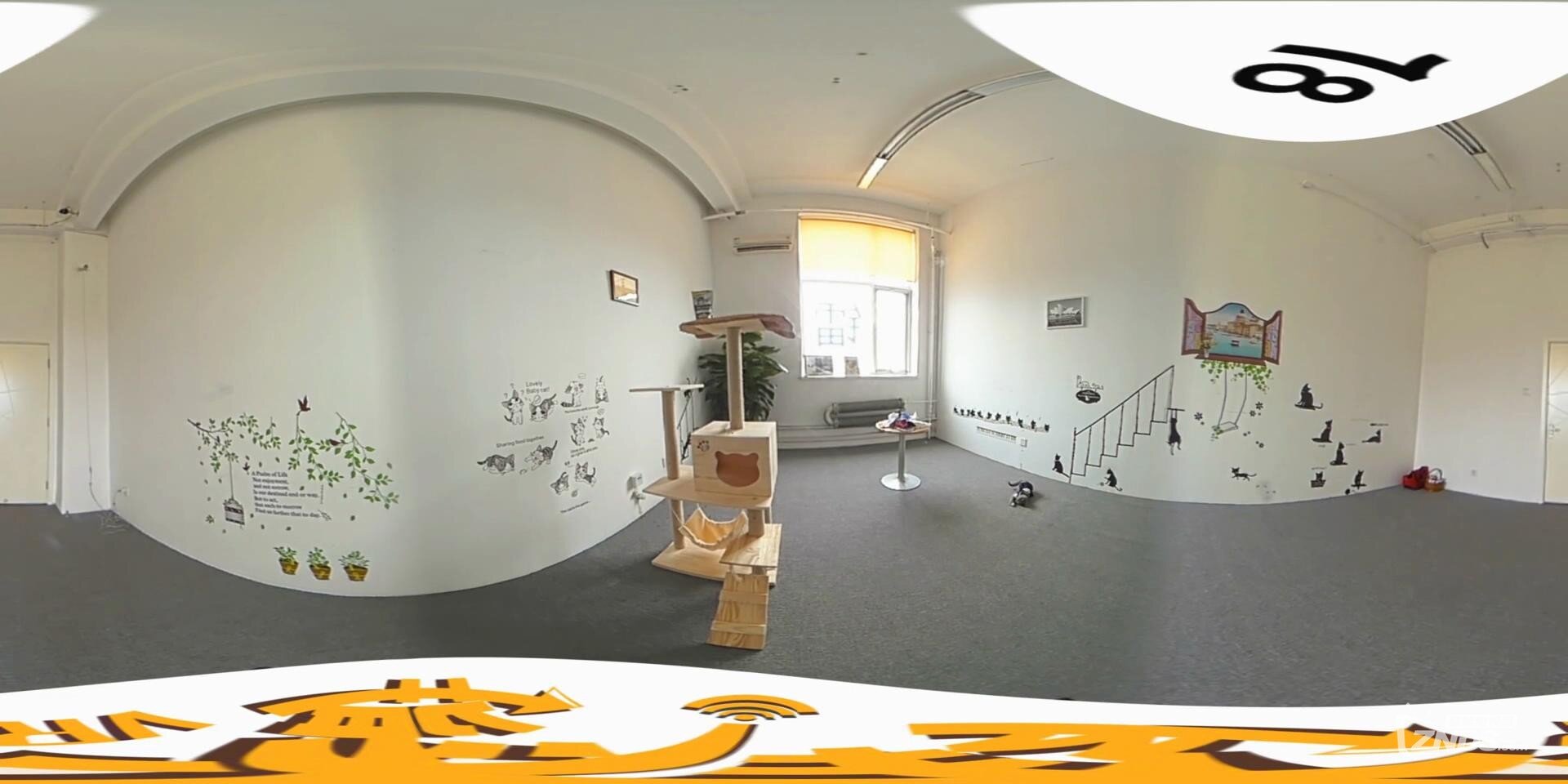 【360度VR全景视频】给我一个纸团 我能玩一天