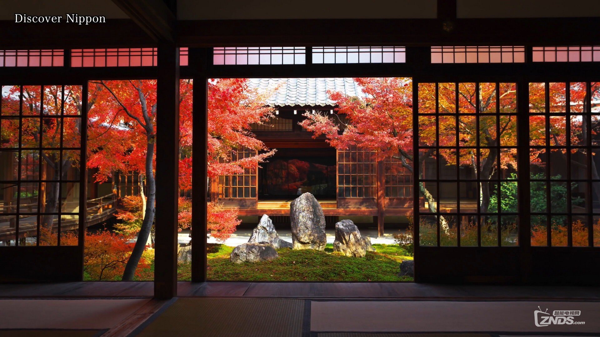 美しい京都の红叶 [2180p/mp4/604m]_4k资源交流_znds