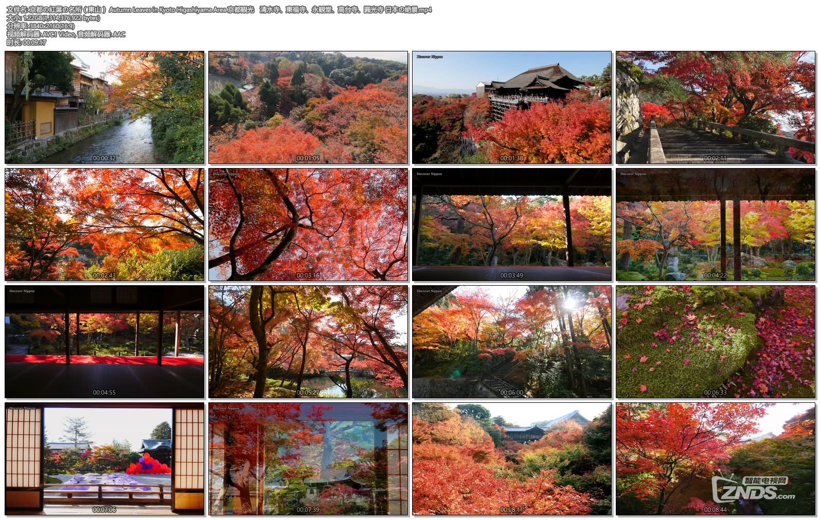 京都の紅葉の名所（東山） Autumn Leaves in Kyoto Higashiyama Area 京都観光　清水..jpg