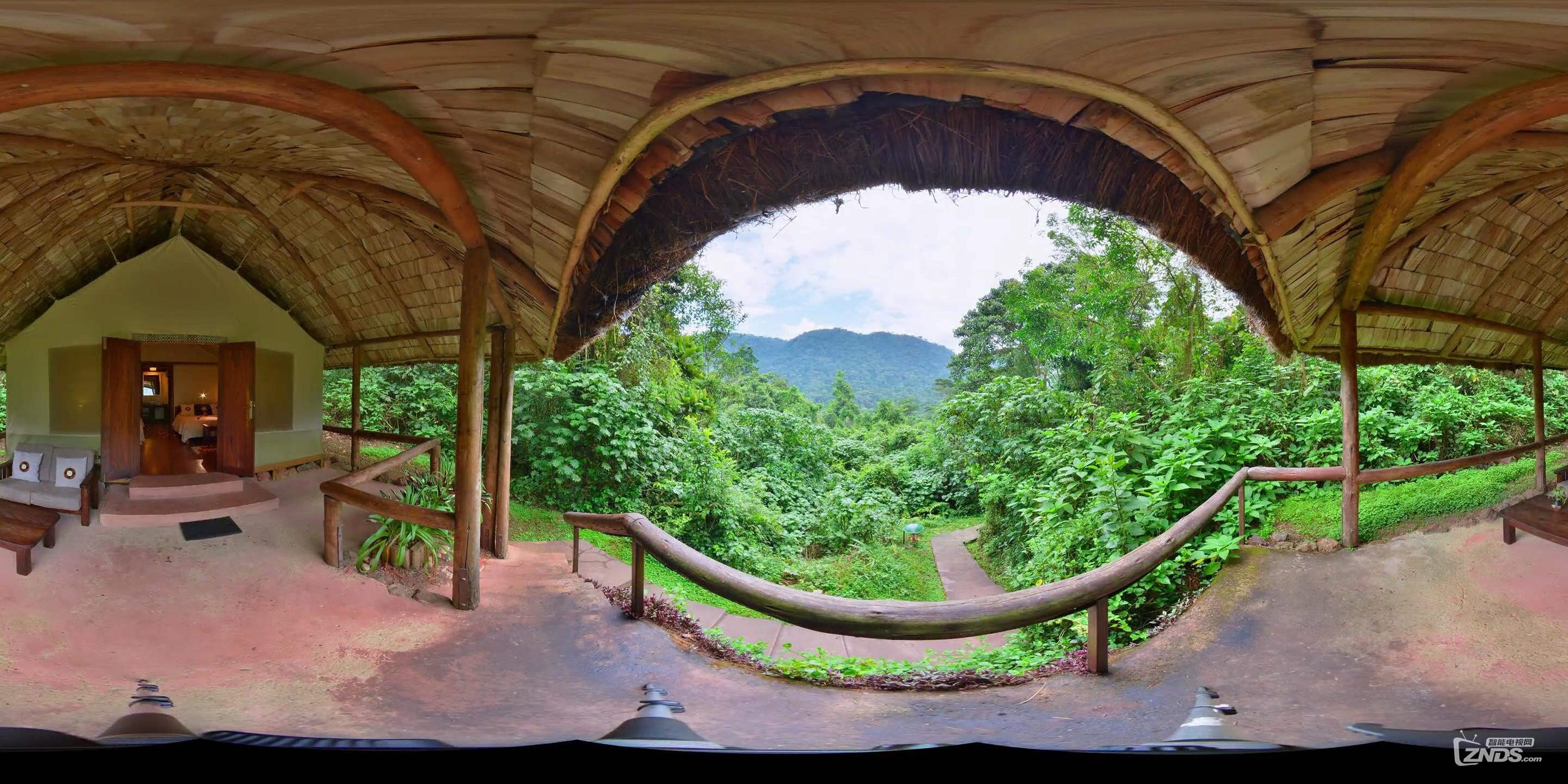 【360度vr全景视频】乌干达大猩猩森林保护营区