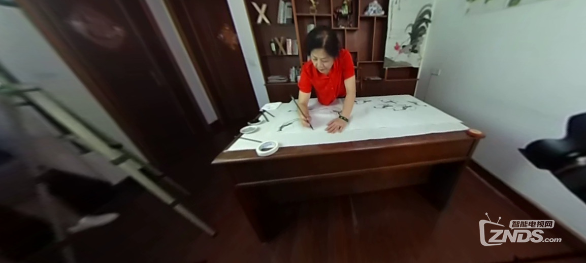 全景视频：齐白石后人齐惠娟老师现场作画
