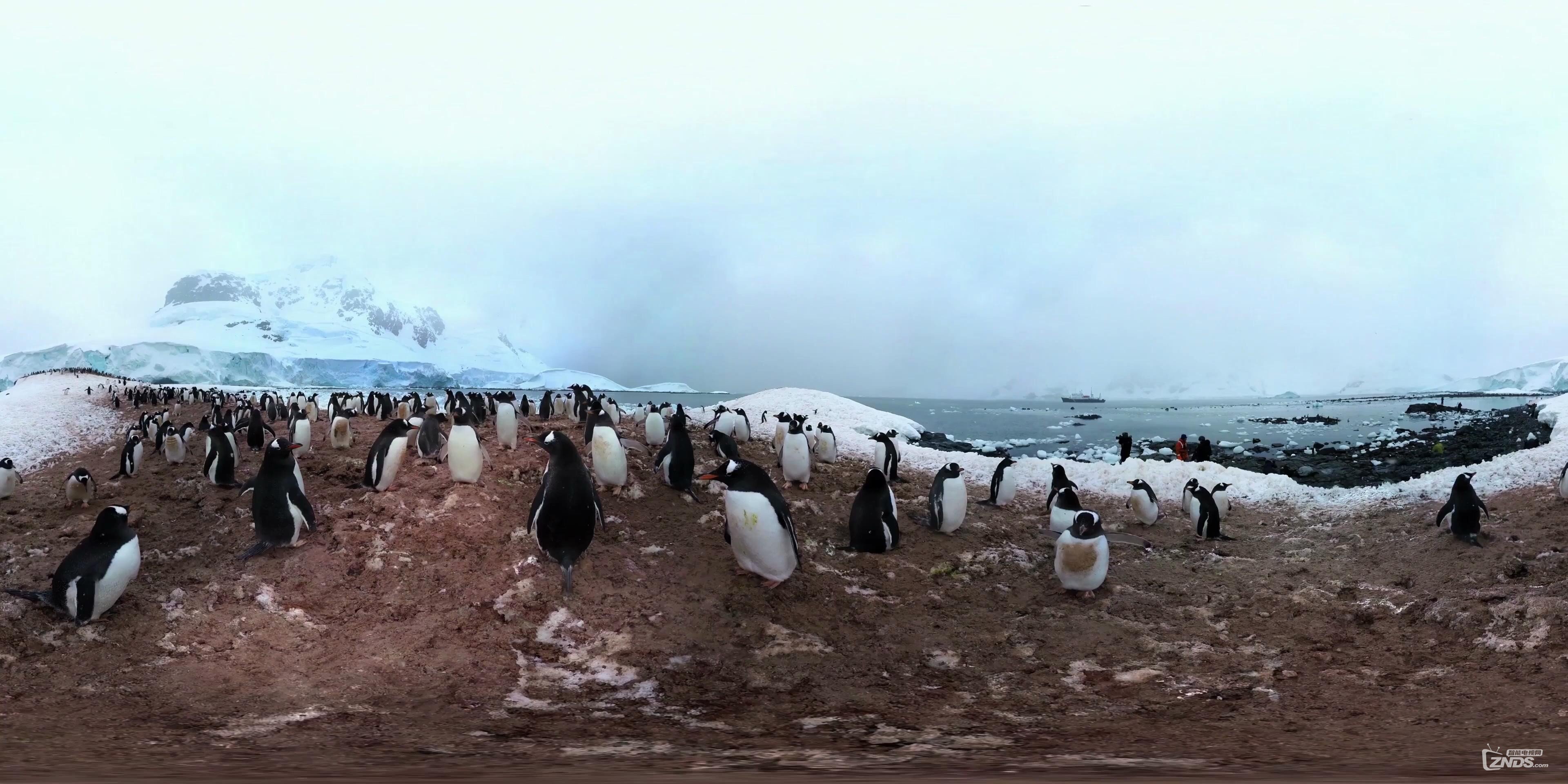 360° Video Antarctica  360 Video  360  VR  Virtual Reality  360 Videos  VR Vide.jpg