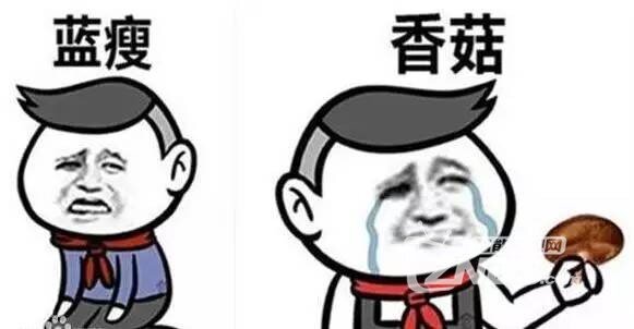 电视什么故障让你 蓝瘦，香菇