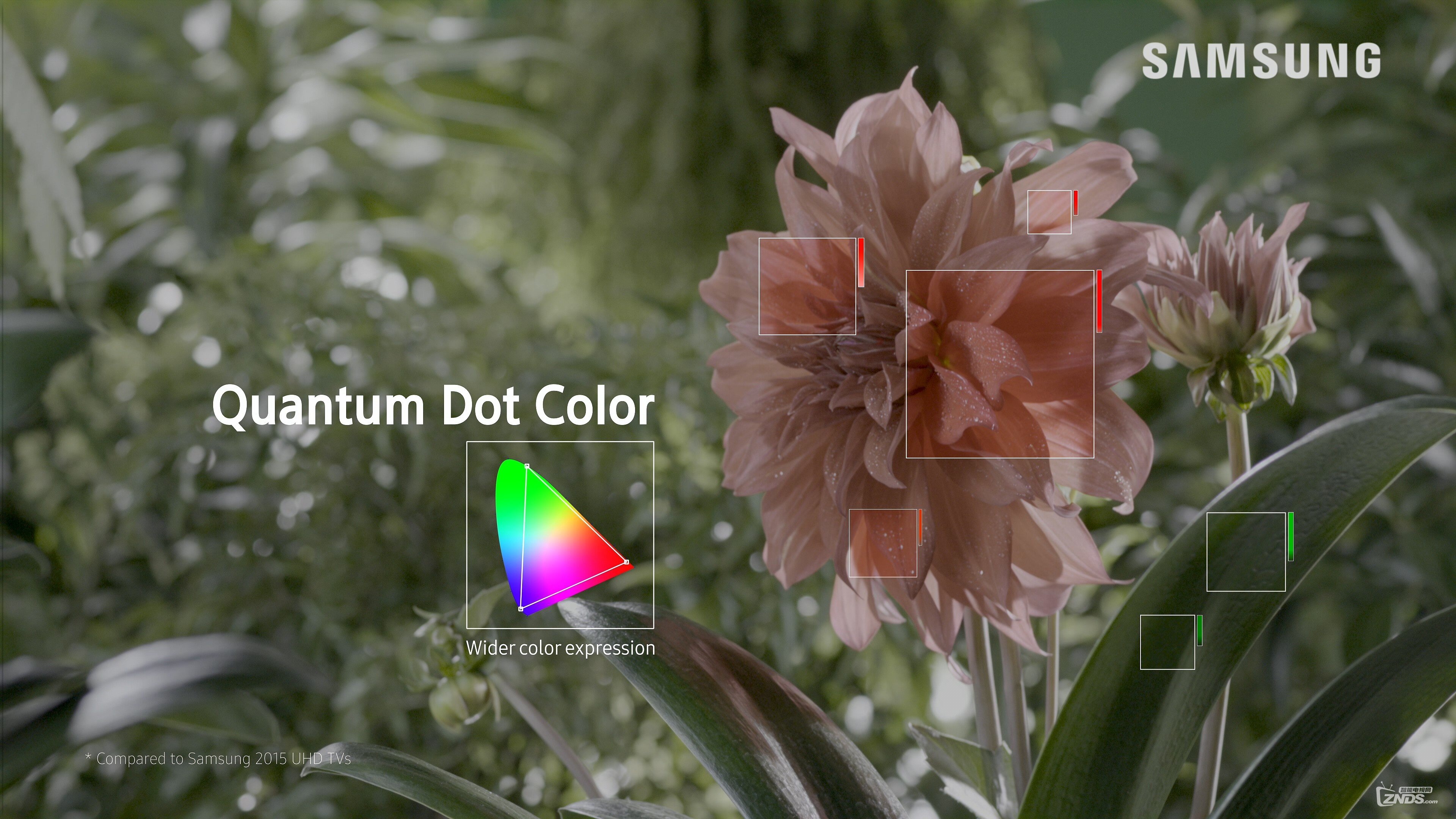 Samsung.HDR.4K.DEMO_Quantum.Dot.Display.ts_20161013_140402.548.jpg