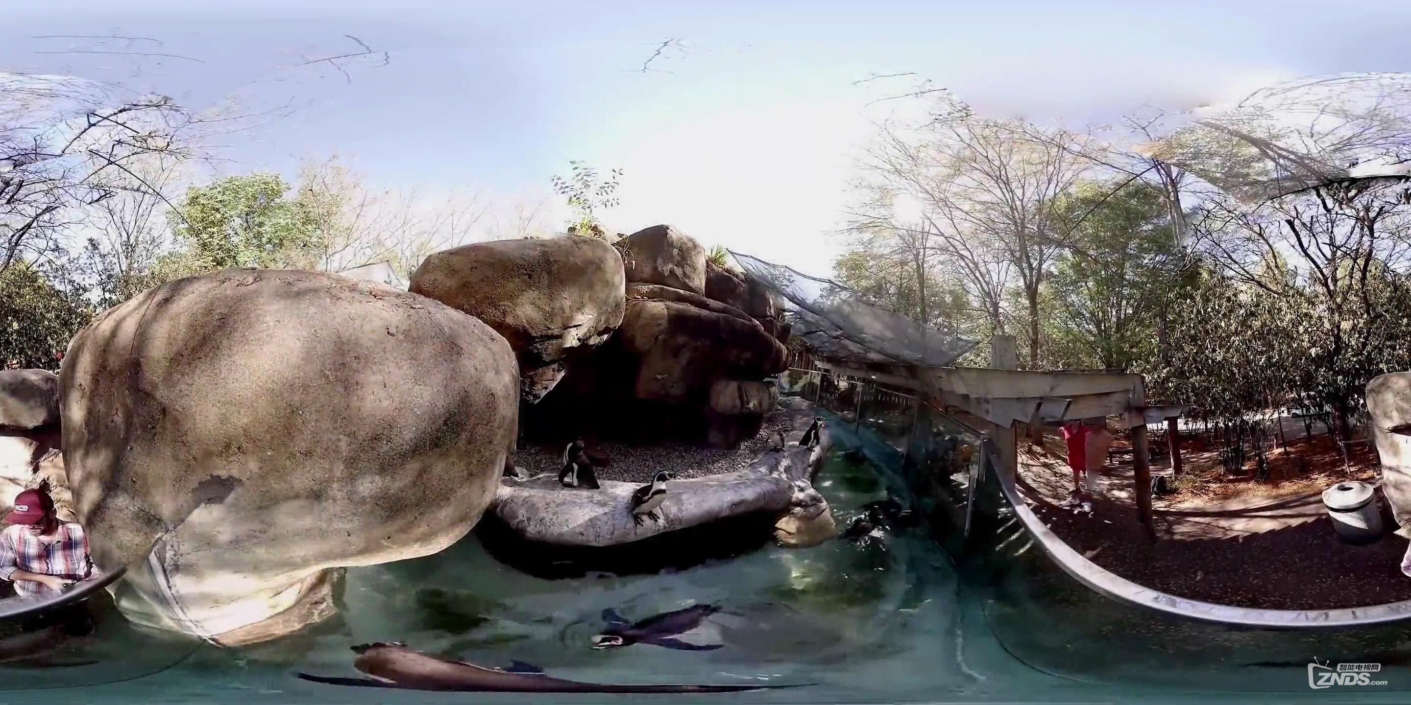 【vr带你游世界】美国十大动物园公园-俄亥俄州哥伦布动物园_一日游