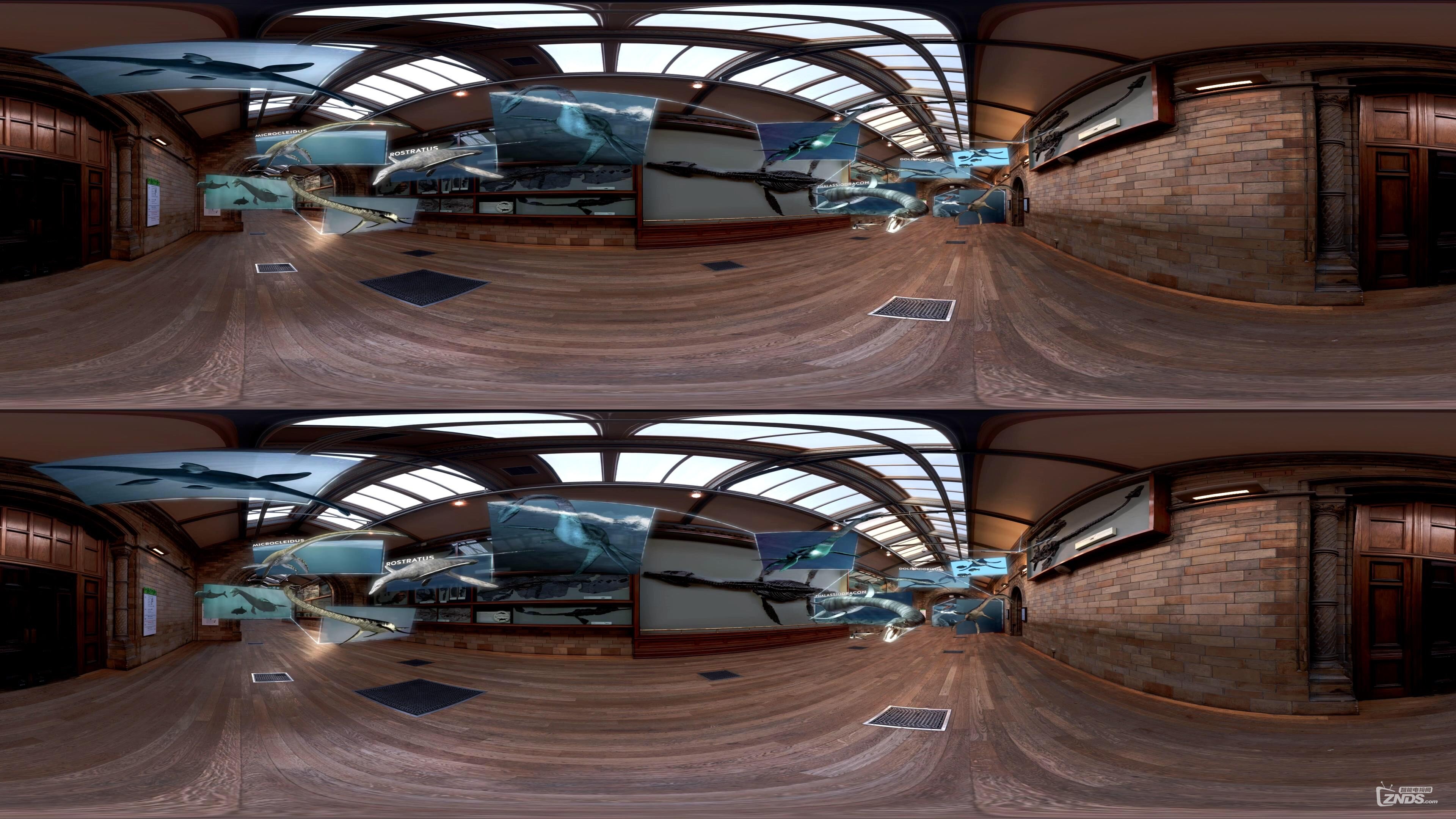 Rhomaleosaurus Back to Life in Virtual Reality #PreviouslyOnEarth_20161019222012.JPG