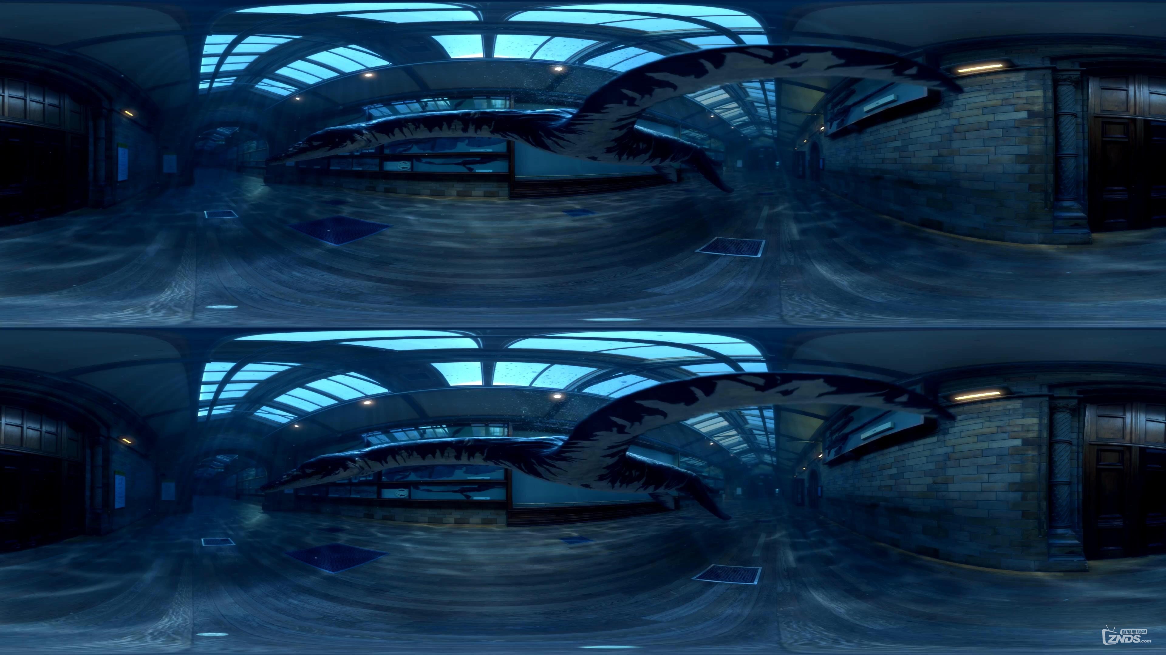 【vr360°全景】3d[4k]bbc出品,恐龙世界之菱龙[2160p/mp4/180mb]